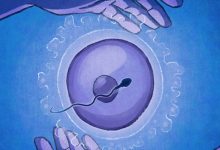 Breakthrough in Fertility Treatment: OXO-001 Demonstrates Promising Results