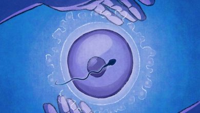 Breakthrough in Fertility Treatment: OXO-001 Demonstrates Promising Results