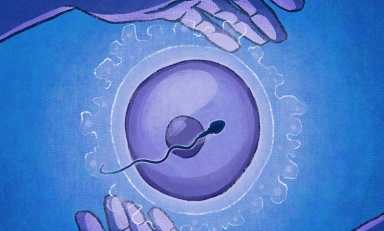 Breakthrough in Fertility Treatment: OXO-001 Demonstrates Promising Results