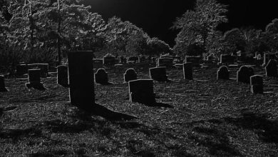 With 2,800 graves, the film festival also arranged special seats for the dead, which remained empty until the end.