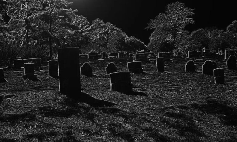 With 2,800 graves, the film festival also arranged special seats for the dead, which remained empty until the end.