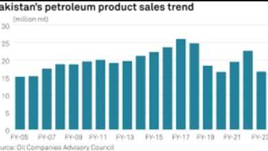 Pakistan Records 26% Increase in Crude Oil Reserves by End of FY 2024
