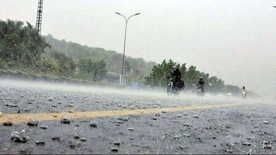 Forecast of Rain with Thunderstorms and Strong Winds Starting Tomorrow