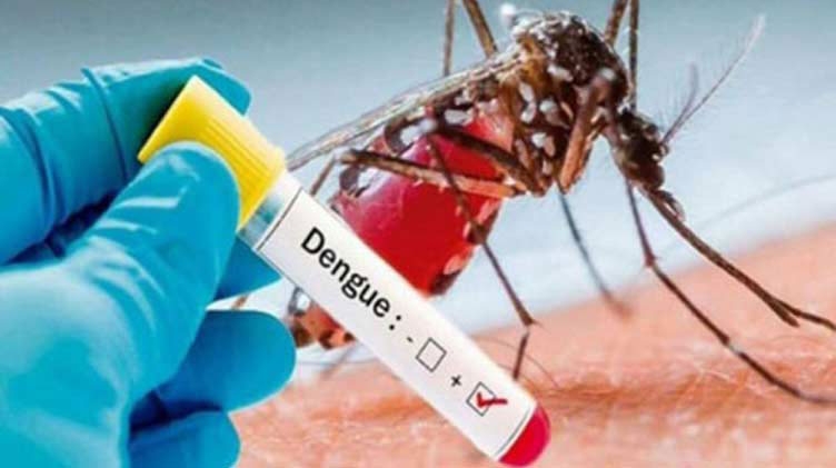 Dengue Strikes Continue in Punjab, 36 New Cases Reported