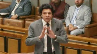 Senator Faisal Vawda's Fiery Speech: Key Points and Implications