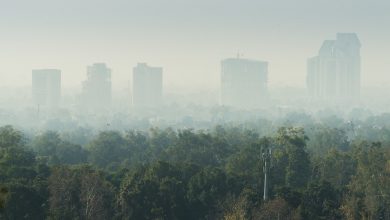 Smog in Pakistan - An Emerging Crisis and Its Effects on Public Health