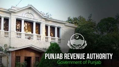 primary objective of the special cell is to increase tax revenues and expand the tax net